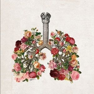 Meet your Posher, June